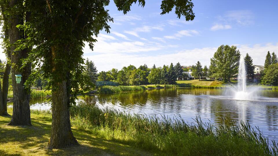 A serene lake with a fountain, surrounded by lush greenery and a bridge in the background.