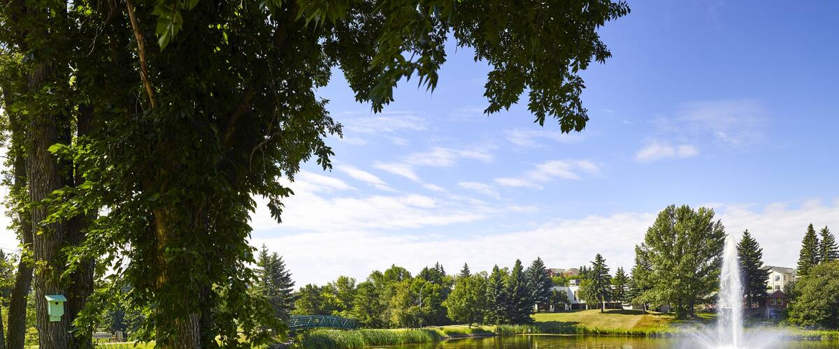 A serene lake with a fountain, surrounded by lush greenery and a bridge in the background.