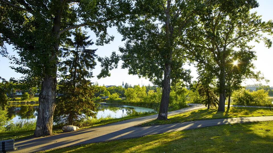 A park with a paved path, trees, a lake, and a distant building.