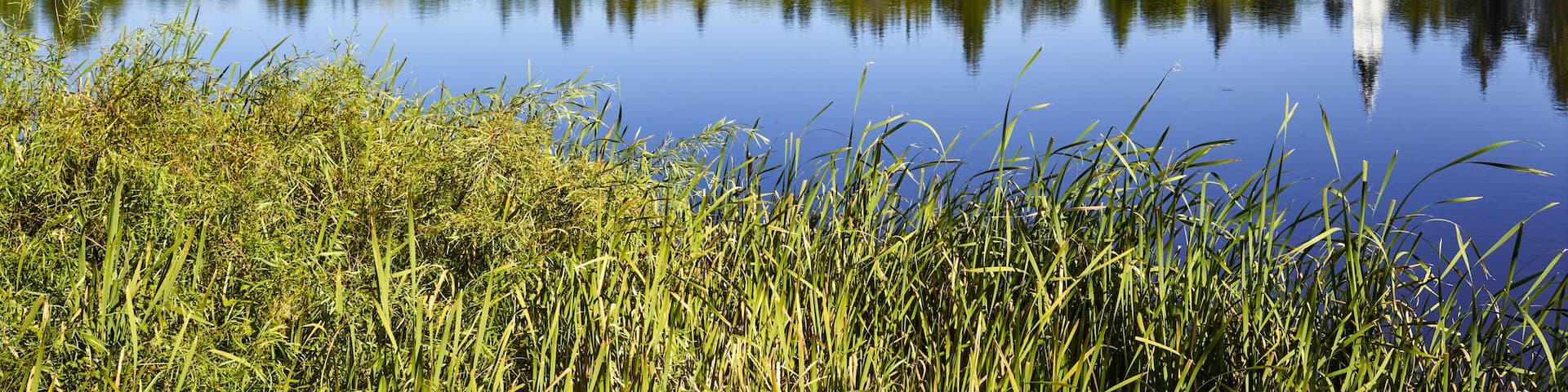Tranquil Mirror Lake in the Camrose community with a footbridge from a park and the white Ukrainian Catholic church building reflected in the water; Camrose, Alberta, Canada