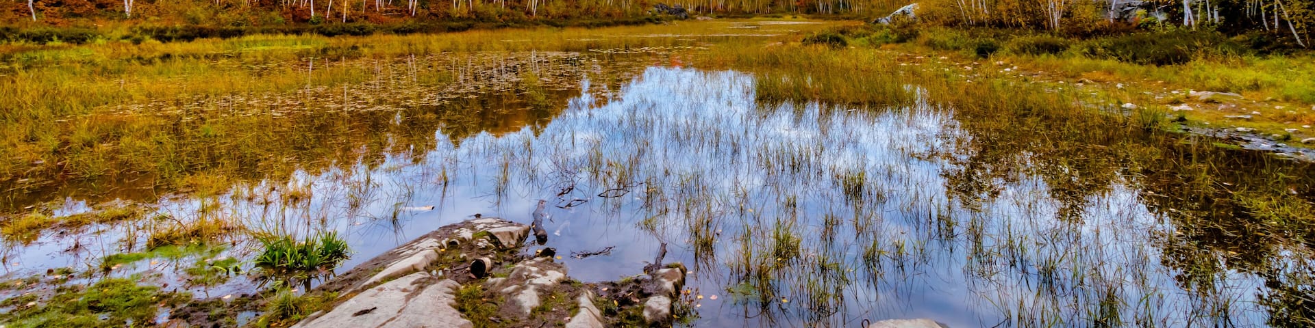Canada, October, Ontario, autumn, blue, cabin, cloud, color, cottege, fall, green, island, lake, landscape, leave, nature, orange, red, season, tree, water, yellow, conservation, geology, rock, earth