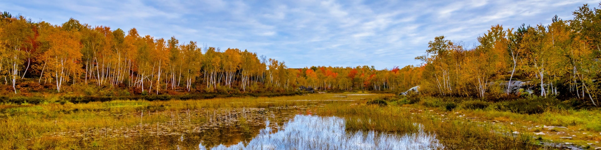 Canada, October, Ontario, autumn, blue, cabin, cloud, color, cottege, fall, green, island, lake, landscape, leave, nature, orange, red, season, tree, water, yellow, conservation, geology, rock, earth