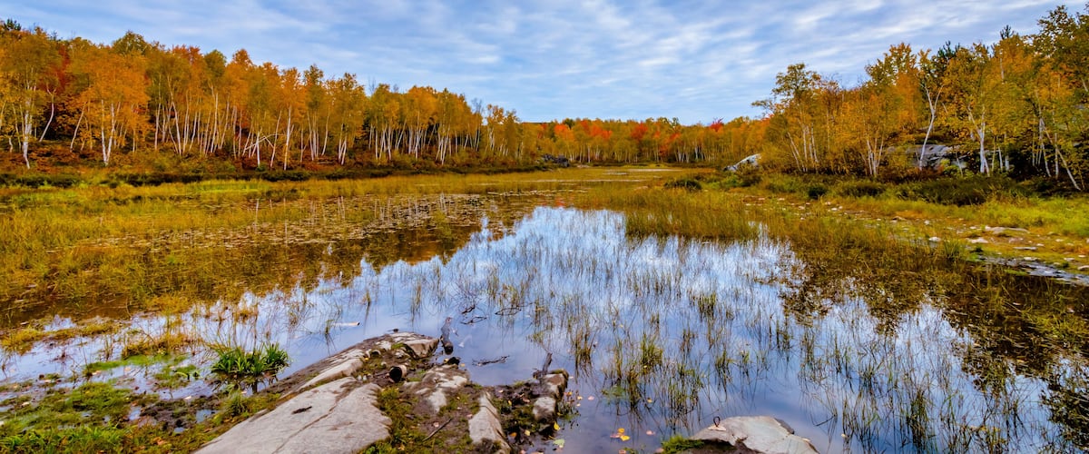 Canada, October, Ontario, autumn, blue, cabin, cloud, color, cottege, fall, green, island, lake, landscape, leave, nature, orange, red, season, tree, water, yellow, conservation, geology, rock, earth