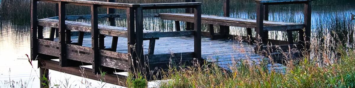 A bird viewing platform as fog rises in the background