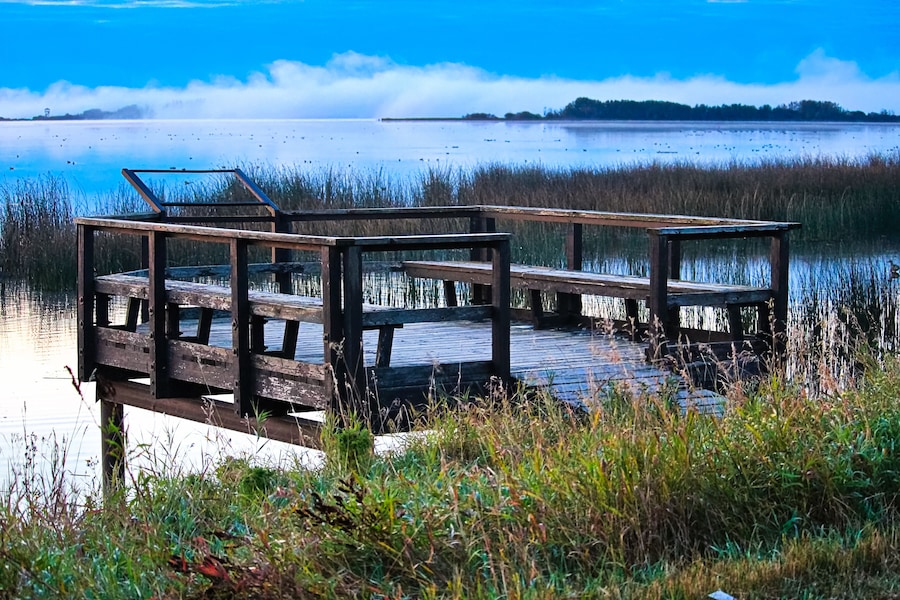 A bird viewing platform as fog rises in the background