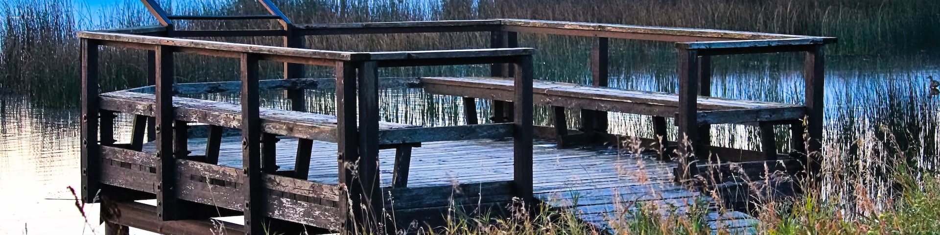 A bird viewing platform as fog rises in the background