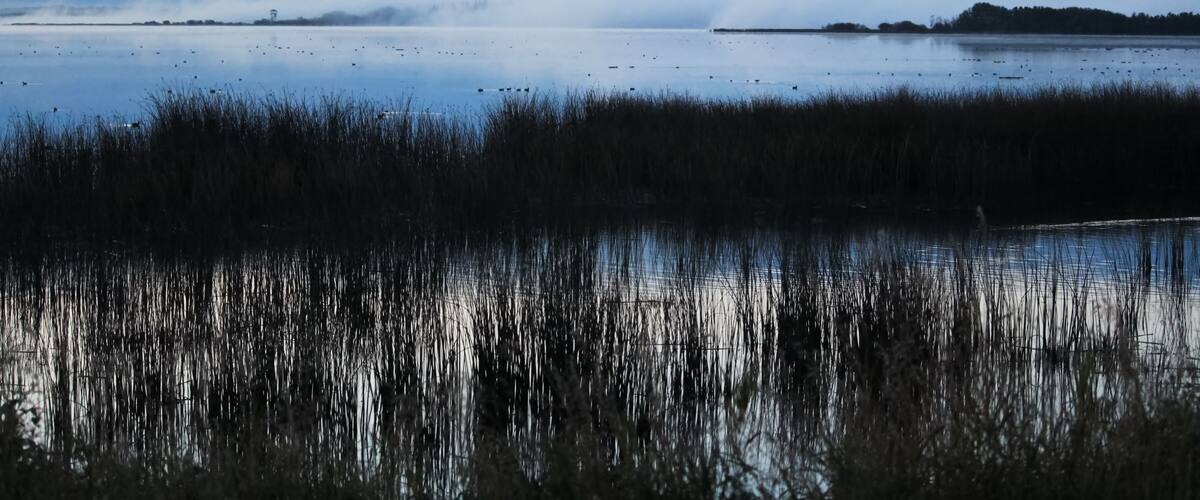 Morning mist rising off of an Alberta lake