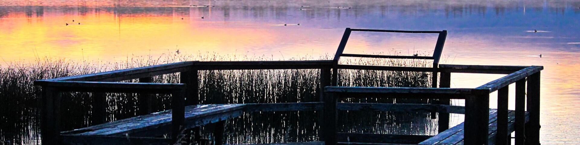 A bird viewing platform at sunrise over Jessie Lake