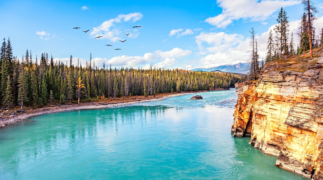 The Athabasca River