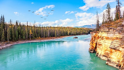 The Athabasca River