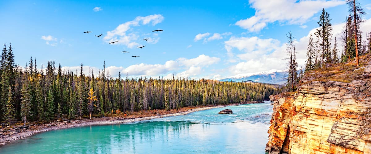 The Athabasca River