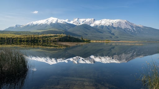 Beautiful landscape near Jasper National park, Alberta, Canada
