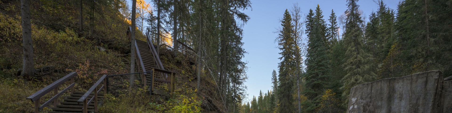 Beautiful shot of a stream in a forest in Hard Luck Canyon of Alberta, Canada
