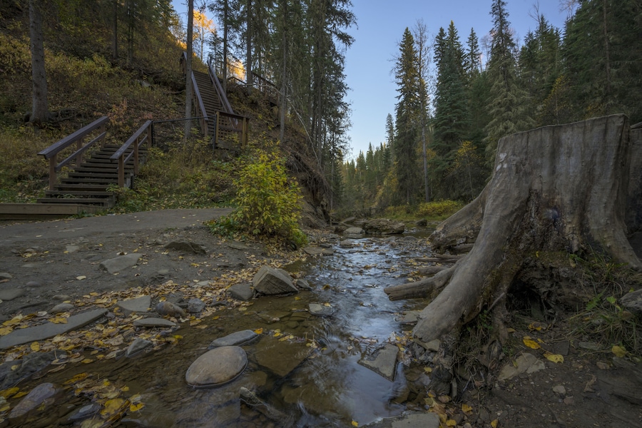 Beautiful shot of a stream in a forest in Hard Luck Canyon of Alberta, Canada