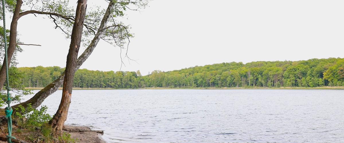 Blick auf den Wolgastsee in der Gemeinde Korswandt auf der Ostseeinsel Usedom