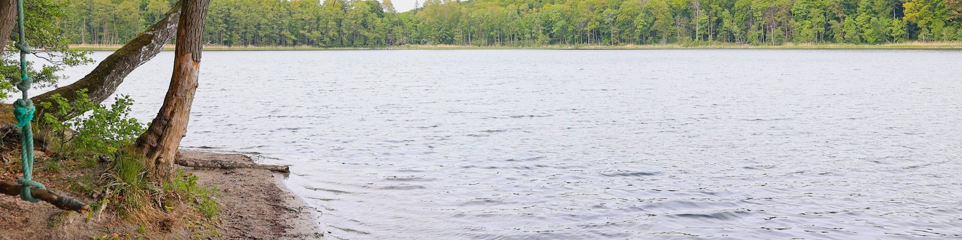 A calm lake with a sandy shore, surrounded by dense green forest.