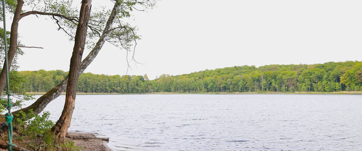 A calm lake with a sandy shore, surrounded by dense green forest.