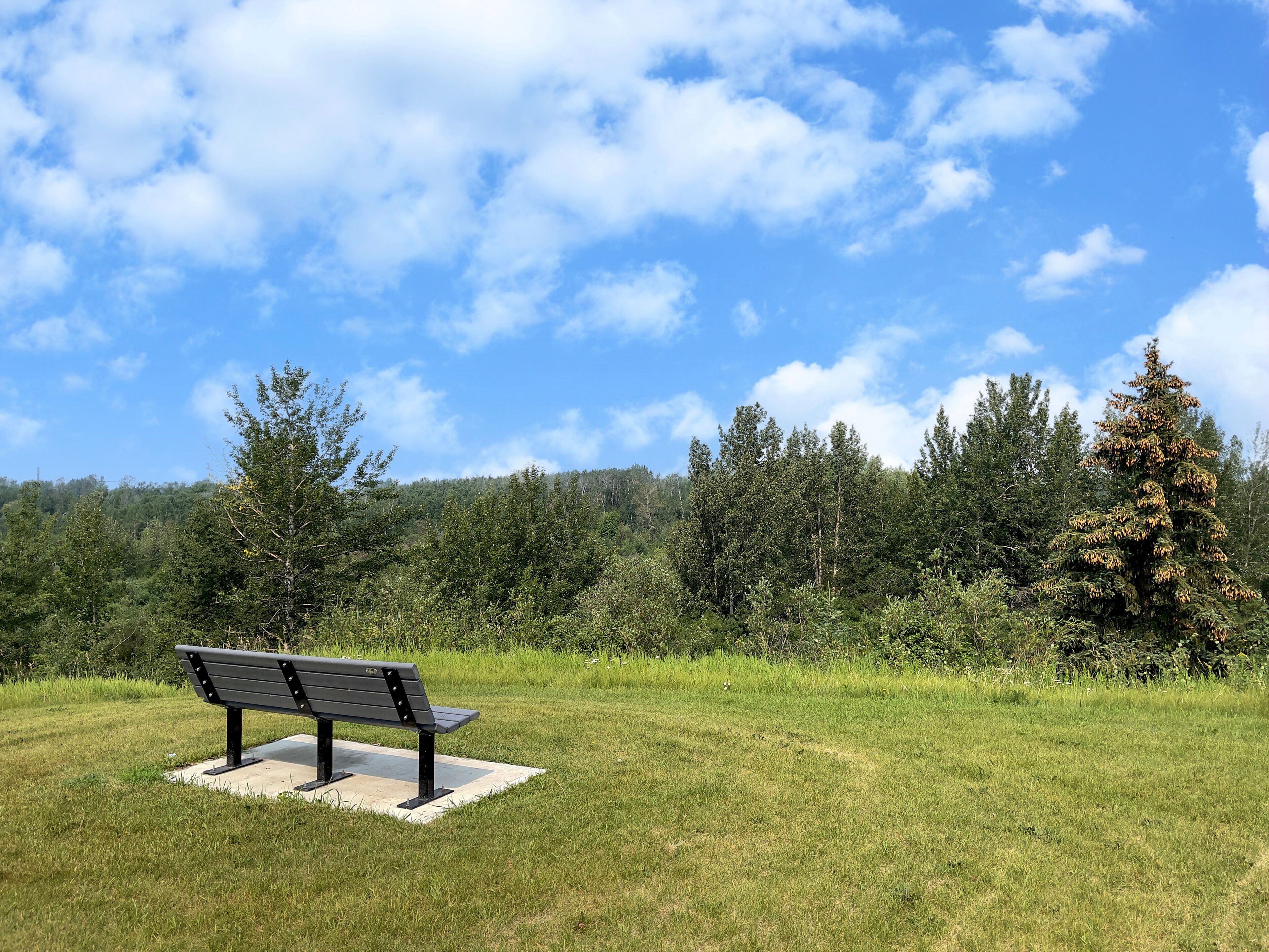 Bench in the park, Grande Prairie, Alberta, Canada 