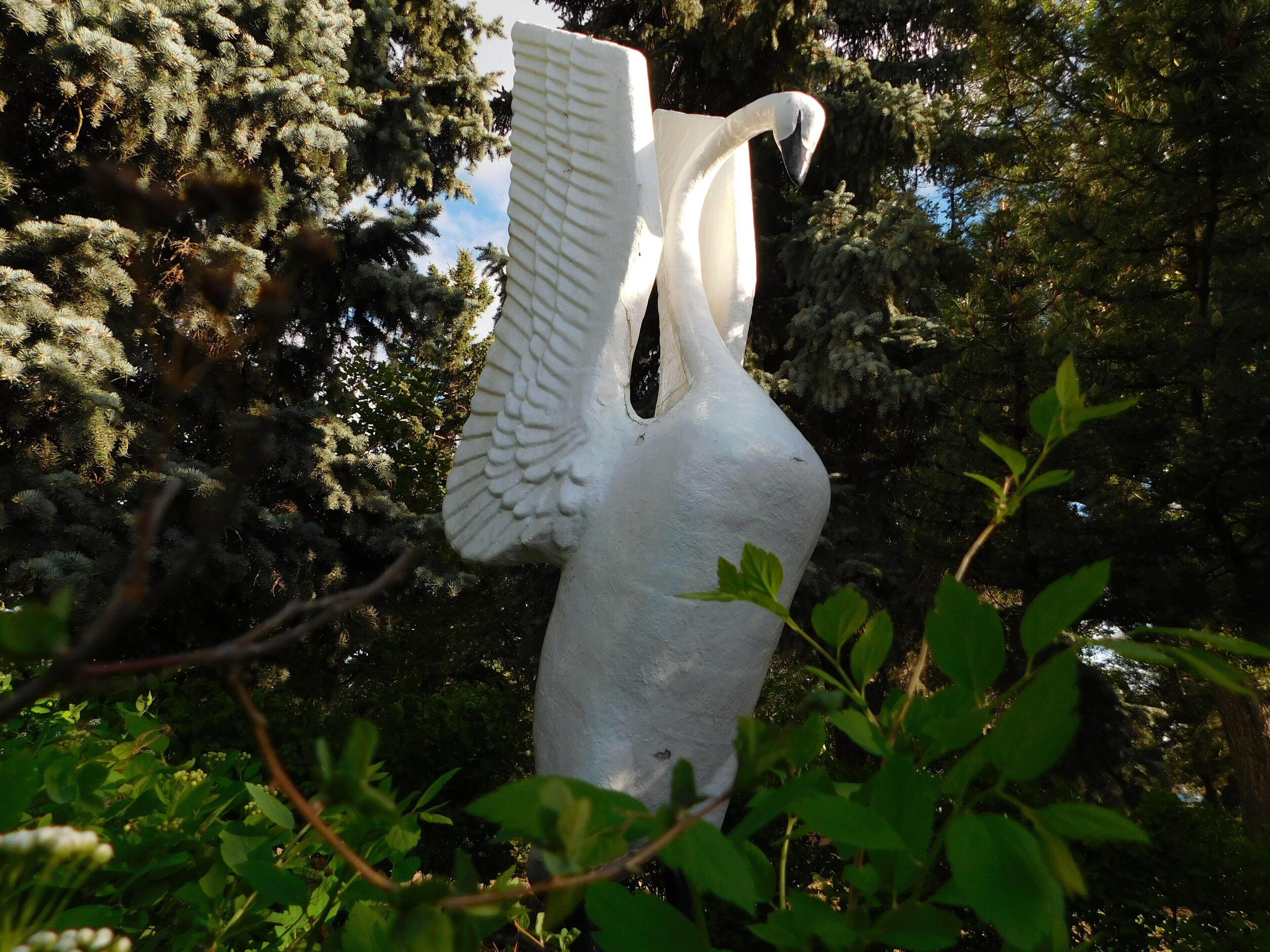 10ft tall Swan Statue in Jubille Park. Grande Prairie, AB. 