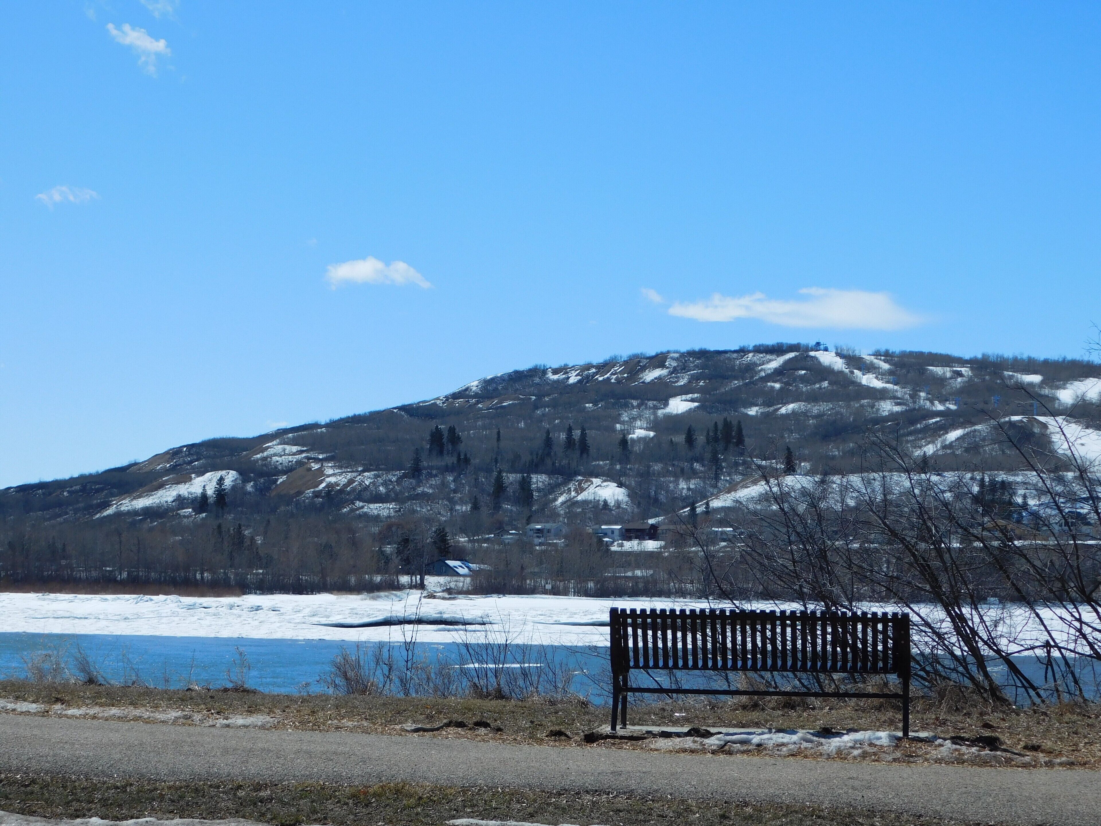 A beautiful walking trail right along the Peace River.