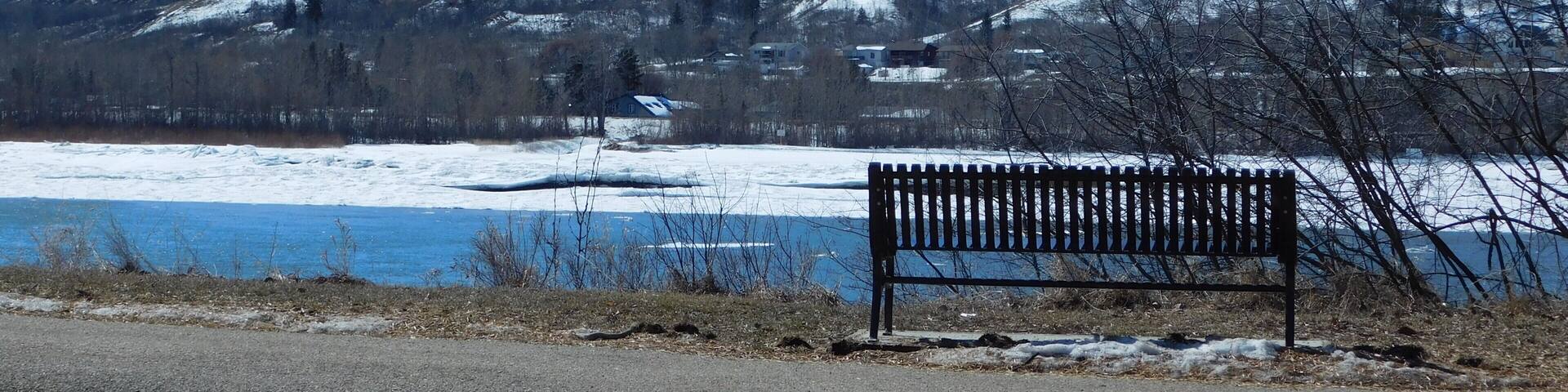 A beautiful walking trail right along the Peace River.