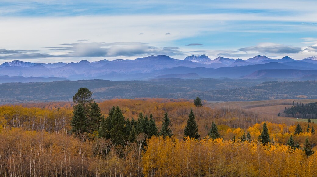 Canadian Rocky Mountain range landscape and panoramic autumn color background. Alberta prairie valley scenery and mountain lookout background. Beautiful panorama of the fall forest and mountains