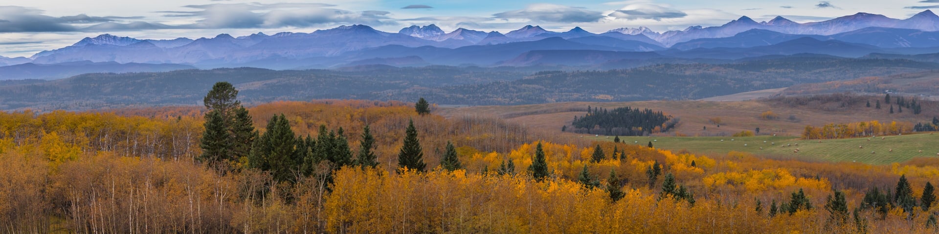 Canadian Rocky Mountain range landscape and panoramic autumn color background. Alberta prairie valley scenery and mountain lookout background. Beautiful panorama of the fall forest and mountains