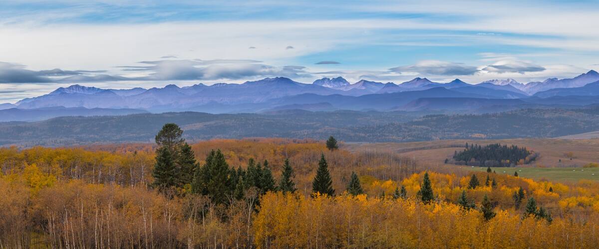 A mountainous landscape with autumn foliage and grazing fields.