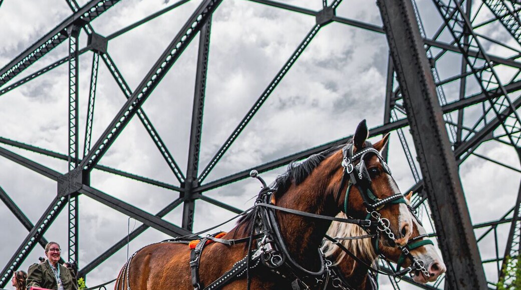 Fort Whoop Up is a museum and historical site open seasonally. Keep your eyes out for special events at the Fort for a unique experience. Events like "Life on the Whoop Up Trail" offer a dinner theater experience on top of you regular museum visit.
