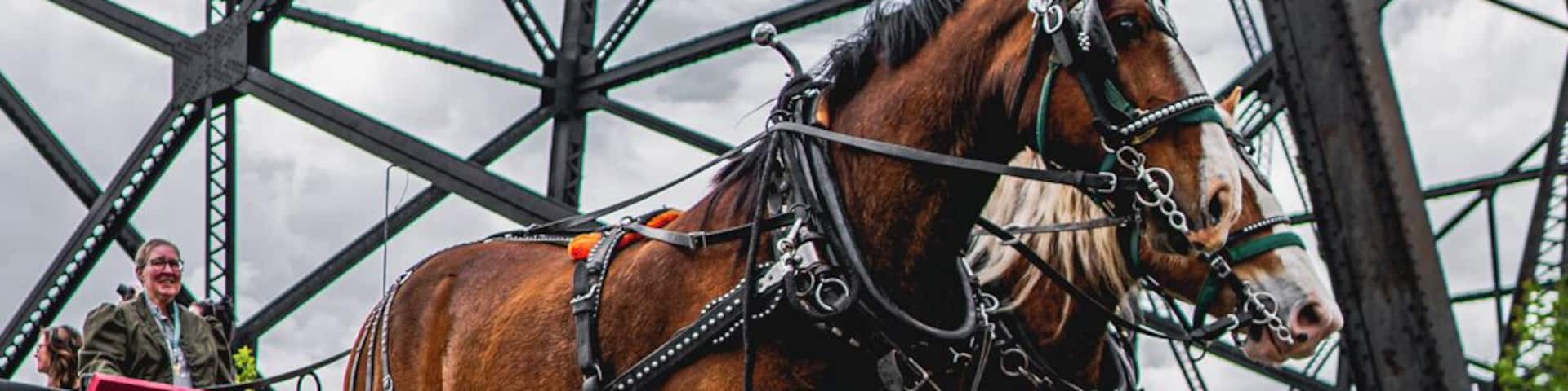 Fort Whoop Up is a museum and historical site open seasonally. Keep your eyes out for special events at the Fort for a unique experience. Events like "Life on the Whoop Up Trail" offer a dinner theater experience on top of you regular museum visit.