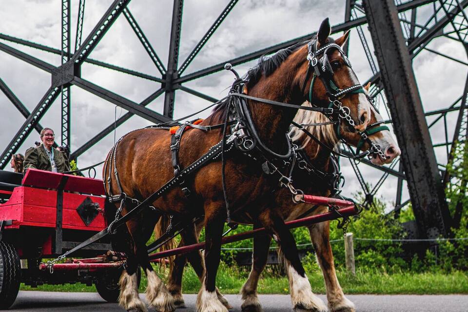 Dos caballos jaleando un carruaje rojo por un camino, con un puente metálico grande al fondo.