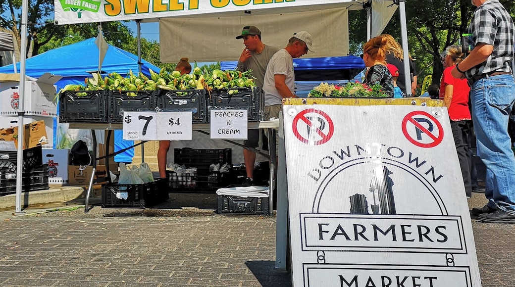 From July thru September every year the Lethbridge Farmers market happens every Wednesday from 10am - 3pm. The best local fruits and vegetables and a number of artisan booths are set up.