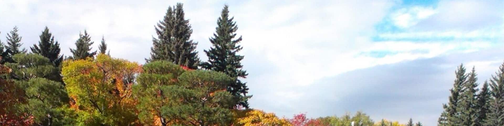 This is a very tranquil place right in the middle of the city.