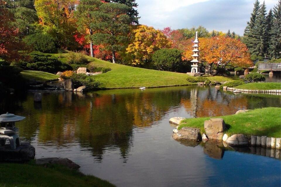 A serene pond with a pagoda, surrounded by autumn-colored trees and a grassy area.