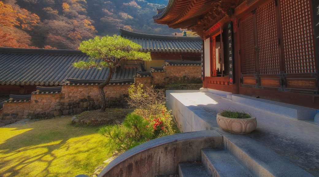 Buddhist temple that is still in use for aspiring monks.
#trovember #southkorea #solo #solotravel #canon #naturephotography #Buddhist #monks