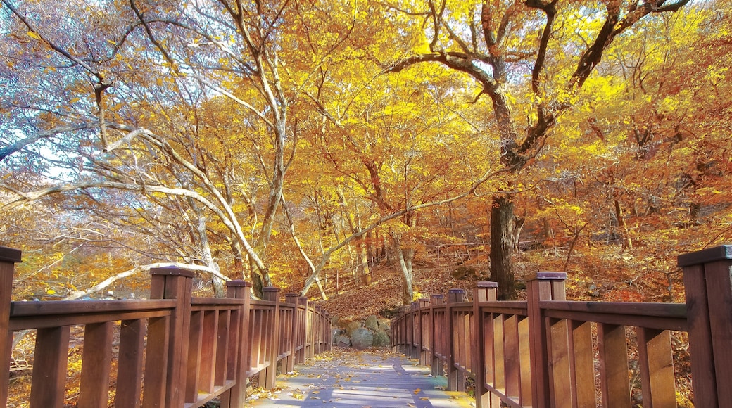 Came across this on my way to the temples. Sometimes you find what you weren’t looking for and you are at peace.