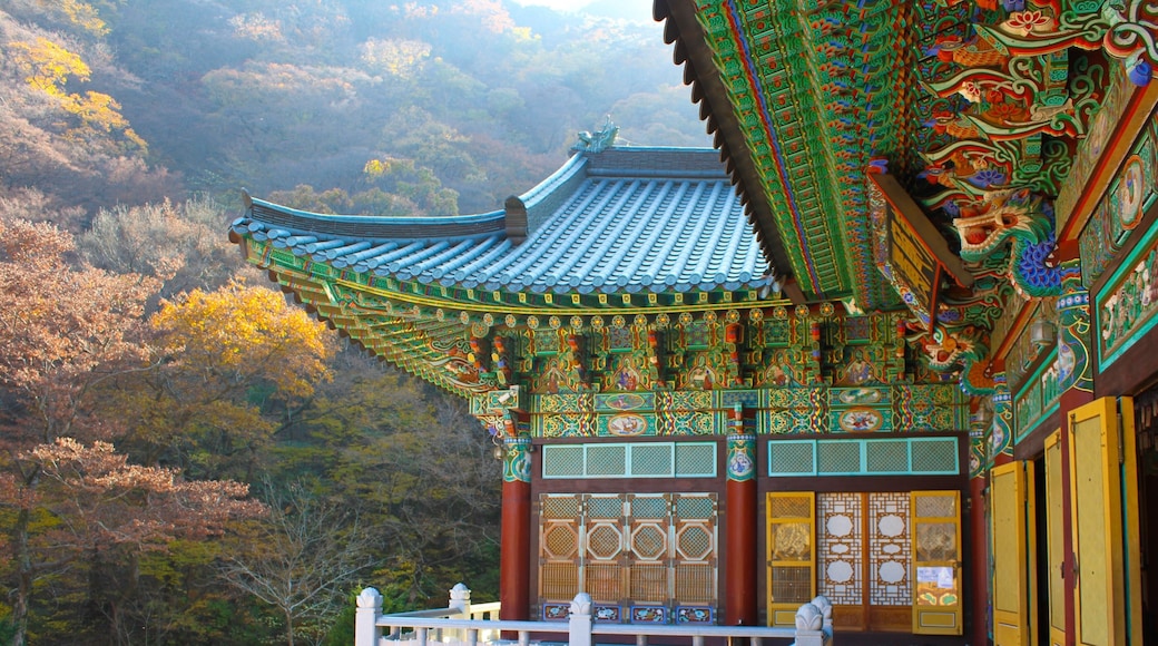 The temple on Gyeryongsan National Park
#trovember #southkorea #solo #solotravel #nature #specialforces #naturephotography #canon70d #outdoors #hiking #heritage