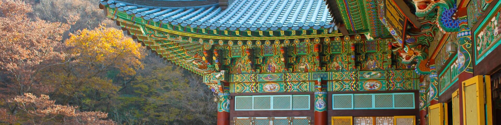 The temple on Gyeryongsan National Park
#trovember #southkorea #solo #solotravel #nature #specialforces #naturephotography #canon70d #outdoors #hiking #heritage