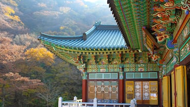 The temple on Gyeryongsan National Park
#trovember #southkorea #solo #solotravel #nature #specialforces #naturephotography #canon70d #outdoors #hiking #heritage