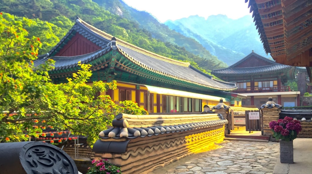 This is a beautiful Buddhist temple and active monastery for Buddhist nuns situated in Korea's beautiful national park Gyeryongsan National Park. If you find yourself near Daejeon, South Korea, this park is a must and an easy bus ride away from the city!