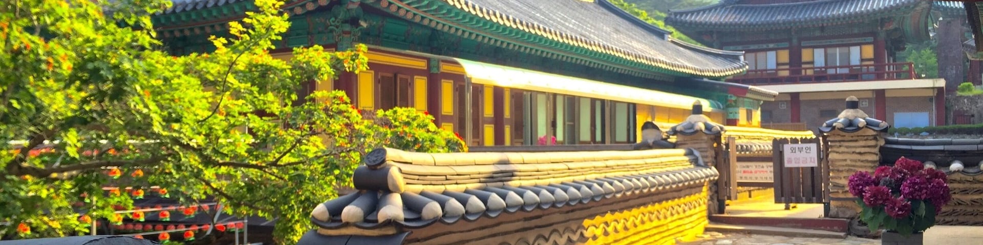 This is a beautiful Buddhist temple and active monastery for Buddhist nuns situated in Korea's beautiful national park Gyeryongsan National Park. If you find yourself near Daejeon, South Korea, this park is a must and an easy bus ride away from the city!