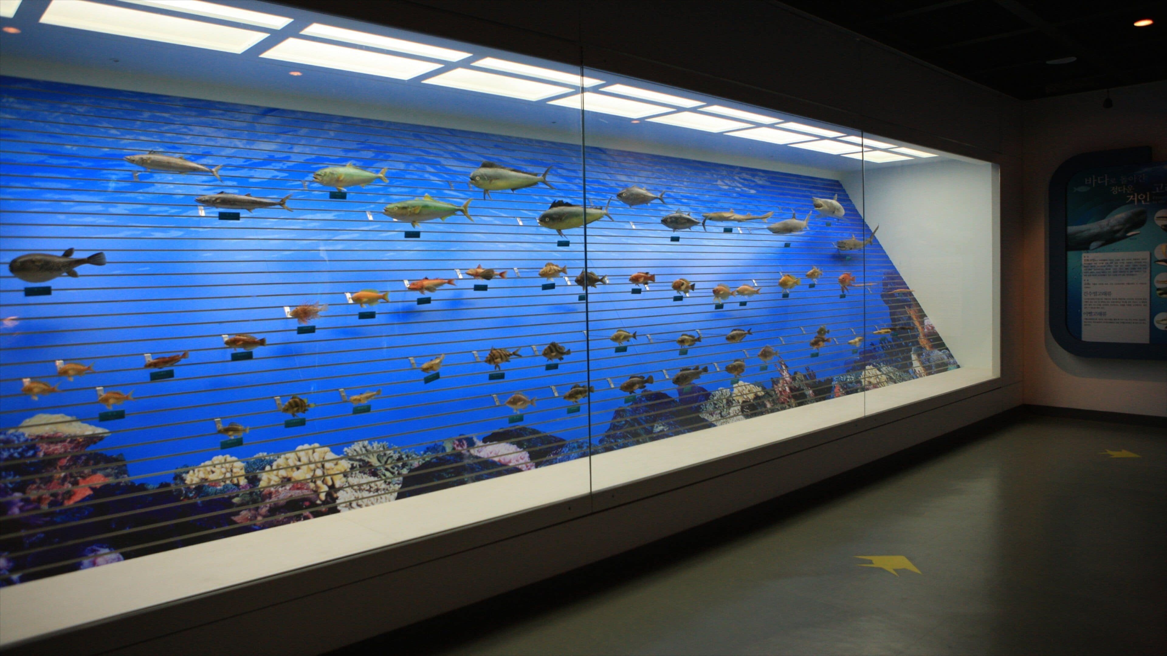 Changwon mostrando vistas interiores