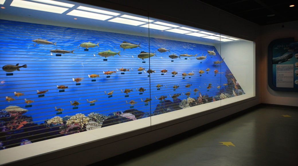 Changwon mostrando vistas interiores