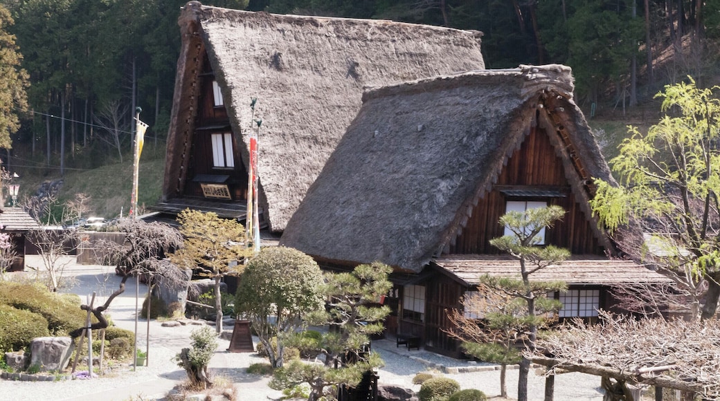 Gassho Village in Gero Onsen is a collection of 10 traditional grass houses moved from a UNSECO World Heritage site where they would have been flooded by a dam. On the hill overlooking the Gassho Mura is the Saijiki-no-mori, known for its cherry trees and autumn leaves in season.
Check out the public hot foot baths on the way to and from the site!
Check out more of my photos here: https://tinyurl.com/ycd4wt72
#japan #grasshouses #gero #geroonsen #footspa #onsen