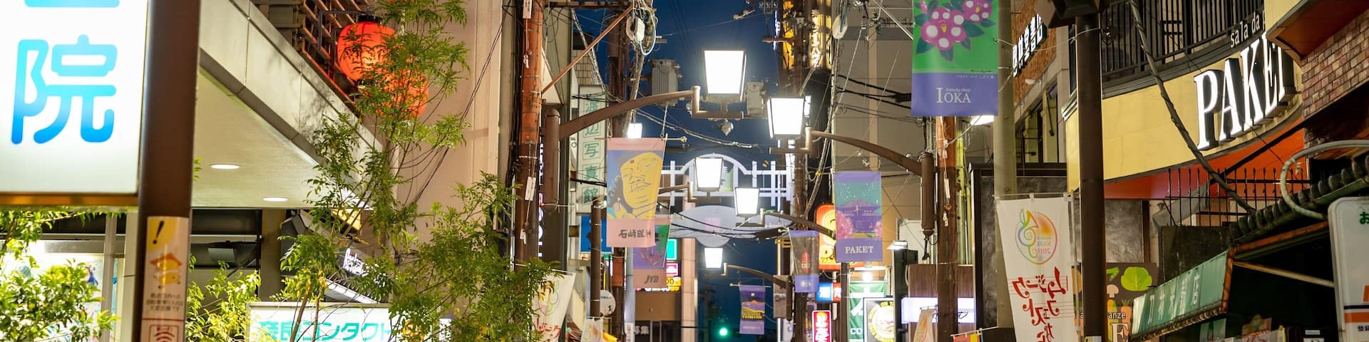 Nara featuring street scenes, a city and night scenes