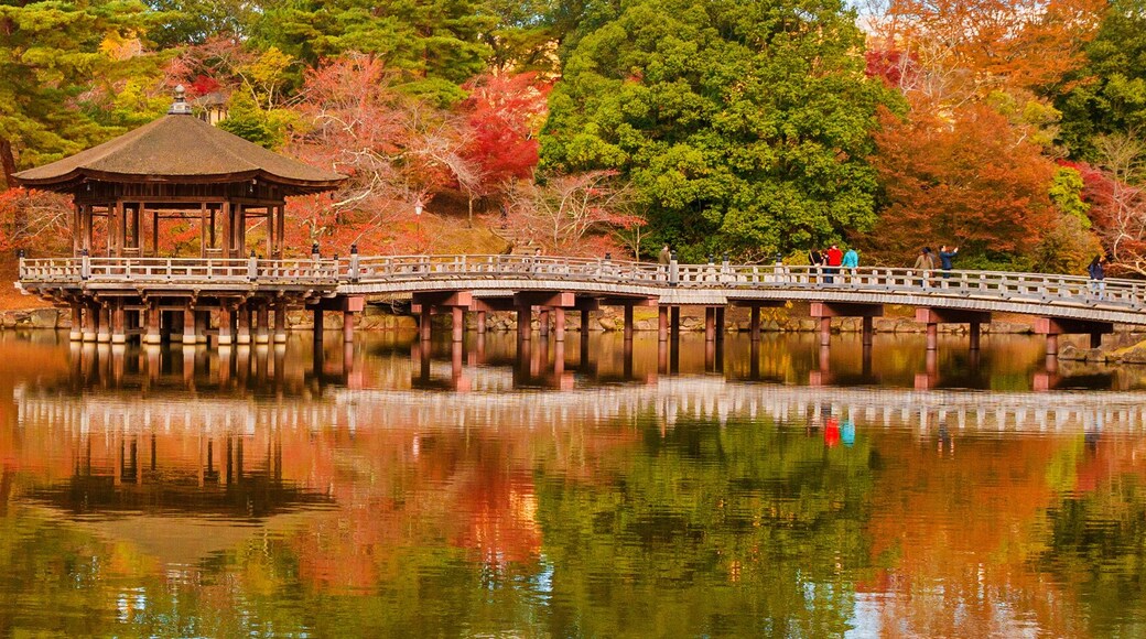 Nara