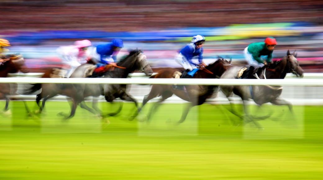 Royal Ascot Horse Race