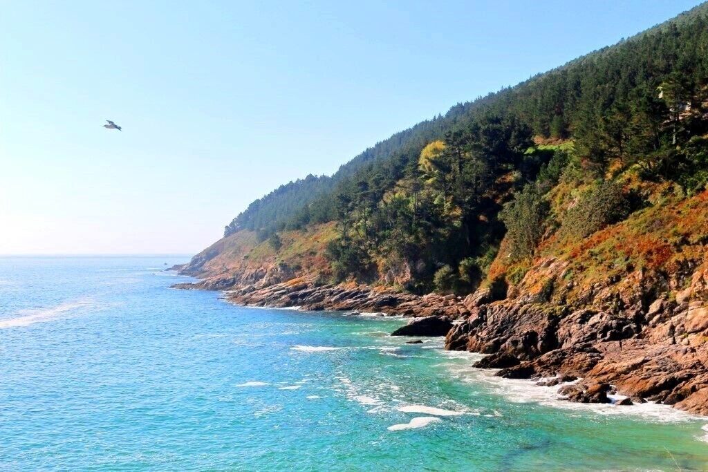 Vale da Morte! Incrível!