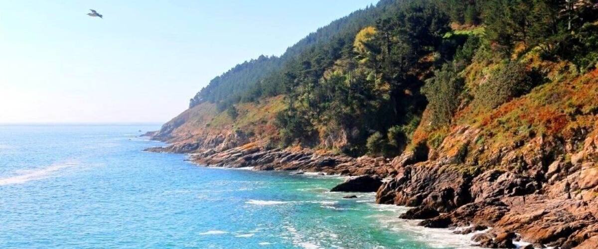 Un paysage côtier caractérisé par des eaux bleues et limpides, des falaises rocheuses et une forêt dense.