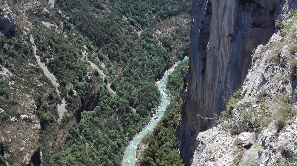 Good photo spot for griffin pictures